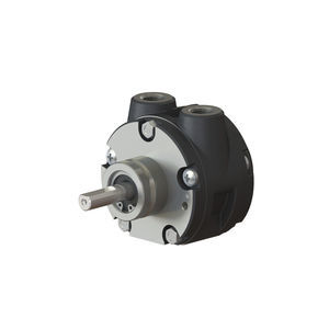 moteur pneumatique à palettes