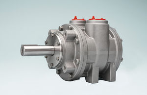 moteur pneumatique à palettes 1
