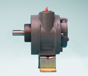 moteur pneumatique à palettes 1