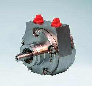 moteur pneumatique à palettes
