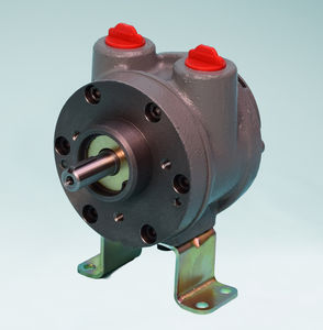 moteur pneumatique à palettes 1