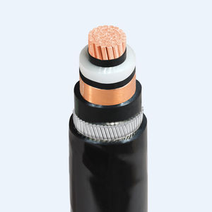 câble électrique d'alimentation