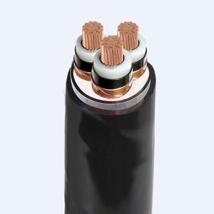 câble électrique d'alimentation