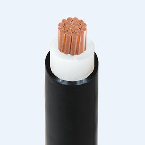 câble électrique d'alimentation