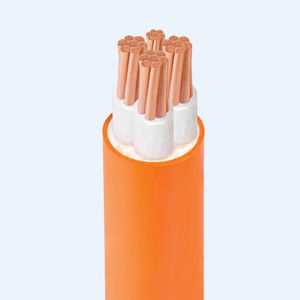 câble électrique d'alimentation