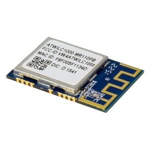 module sans fil WiFi 1