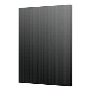 module PV solaire en silicium monocristallin 1