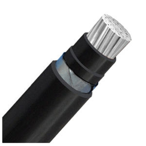 câble électrique d'alimentation 1