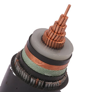 câble électrique d'alimentation 1