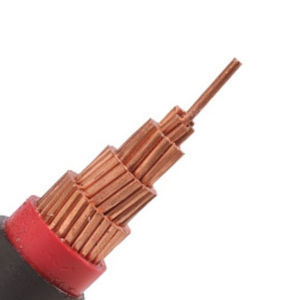 câble électrique d'alimentation 1
