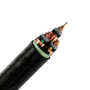 câble électrique d'alimentation 1