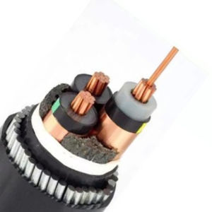 câble électrique d'alimentation 1