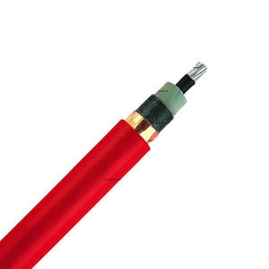 câble électrique d'alimentation 1