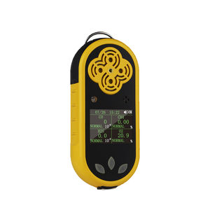 détecteur portable 1