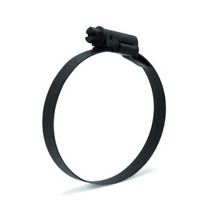 collier de serrage en acier inoxydable 1