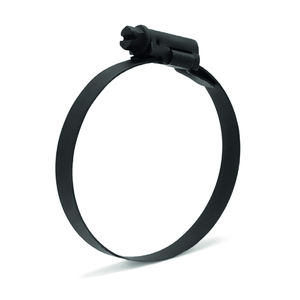 collier de serrage en acier inoxydable 1