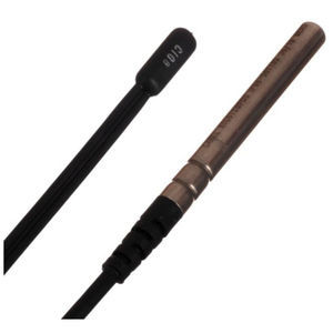 sonde de température RTD