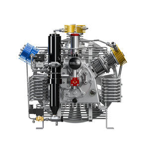groupe compresseur de gaz 1