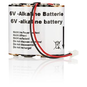 batterie alcaline