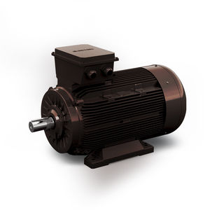 moteur pour concasseur