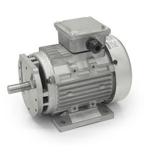 moteur asynchrone