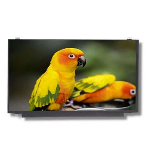 module d'affichage 15.6" 1