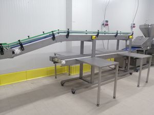 système de convoyage pour l'industrie alimentaire et de la boisson