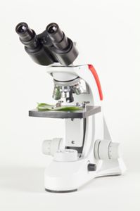 microscope optique 1