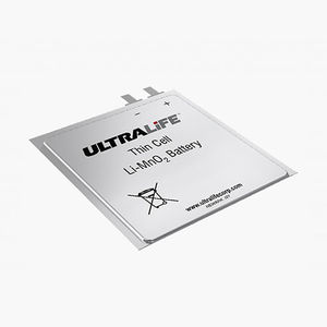 batterie lithium-dioxyde de manganèse