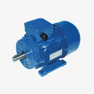 moteur asynchrone 1