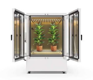 chambre de croissance pour les plantes