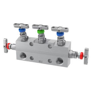 manifold multivoie 1