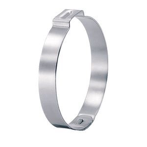 collier de serrage en acier inoxydable