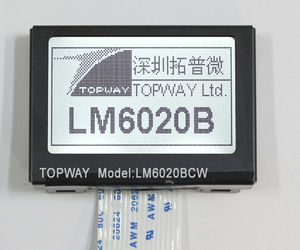 module d'affichage LCD 1