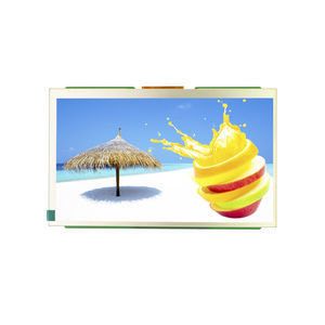 module d'affichage TFT LCD 1