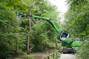 pelle de manutention pour le bois