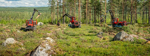 abatteuse forestière sur pneus 1