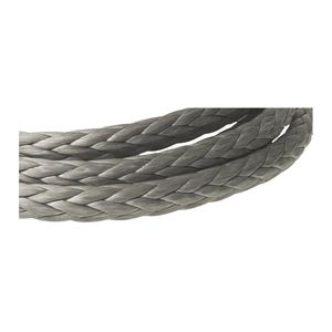 corde dynamique