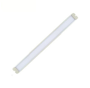 LED blanche 1