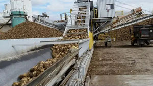 ligne de production de sucre 1