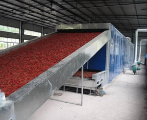 ligne de production fruits secs