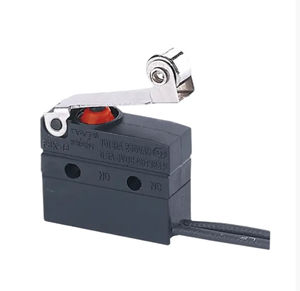micro-rupteur à levier