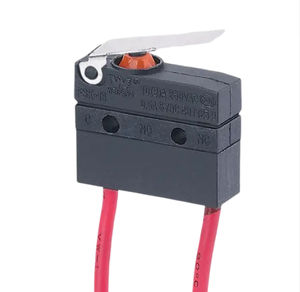 micro-rupteur à levier