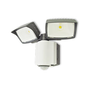 projecteur à LED 1
