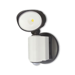 projecteur à LED 1