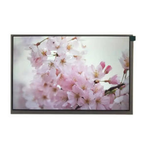 module d'affichage TFT LCD 1
