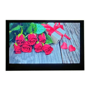 module d'affichage 4.3" 1