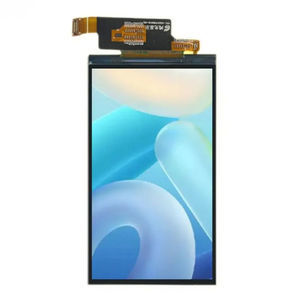 module d'affichage LCD 1