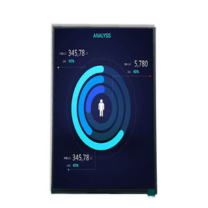 module d'affichage 10.1" 1