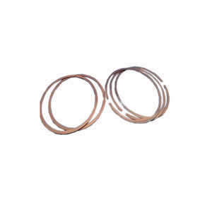bague d'étanchéité pour palier